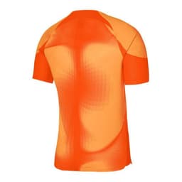 image-Nike Dri-FIT ADV Gardien 4 M DH7760-819 goalkeeper jersey