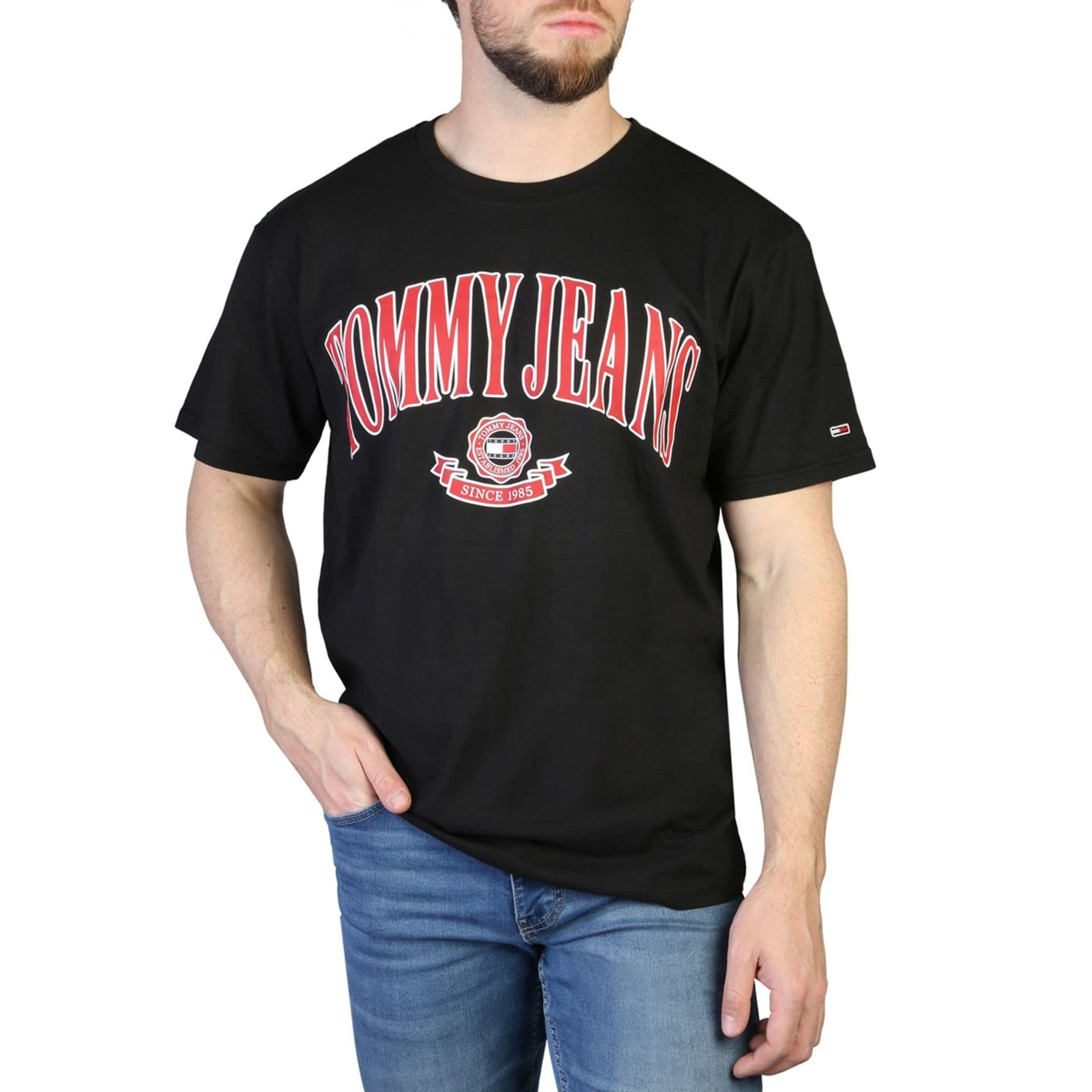 image-Tommy Hilfiger T-shirts