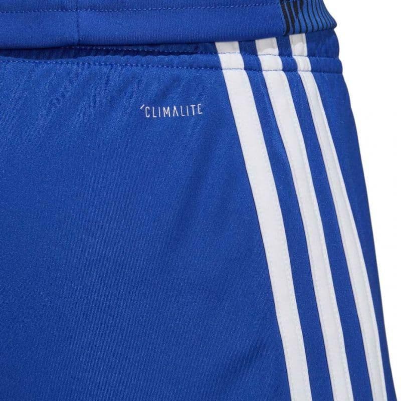 image-Adidas Tastigo 19 Shorts M DP3682 shorts
