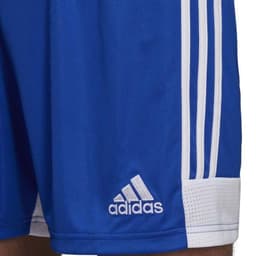 image-Adidas Tastigo 19 Shorts M DP3682 shorts