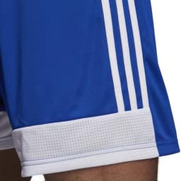 image-Adidas Tastigo 19 Shorts M DP3682 shorts