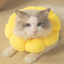 image-Cat Small Dog Recovery Collar, Cute Sunflower Neck Cone After Surgery, Adjustable Pet E Collar, Wound Healing Protective Cone Surgery Recovery Elizabethan Collars For Small Pets