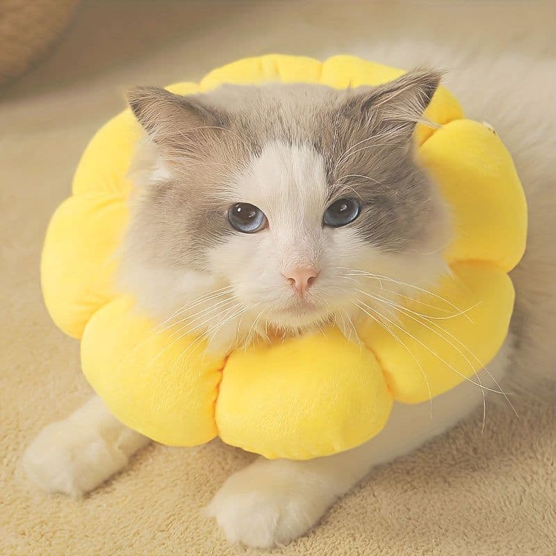 image-Cat Small Dog Recovery Collar, Cute Sunflower Neck Cone After Surgery, Adjustable Pet E Collar, Wound Healing Protective Cone Surgery Recovery Elizabethan Collars For Small Pets