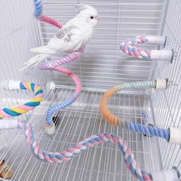 image-Gradient Colorful Bird Rope Perch Stand For Bird Cages Bendable Climbing Rope Cage Accessory Toy For Cockatiel Parakeet Sugar Glider