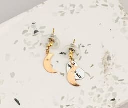 image-Charms Earrings silver, gold and rose gold in 13 Charms Style.
