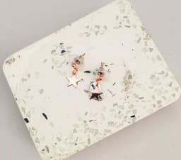 image-Charms Earrings silver, gold and rose gold in 13 Charms Style.