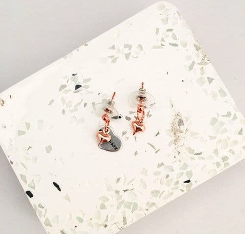image-Charms Earrings silver, gold and rose gold in 13 Charms Style.