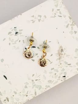 image-Charms Earrings silver, gold and rose gold in 13 Charms Style.