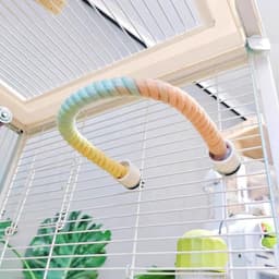 image-Gradient Colorful Bird Rope Perch Stand For Bird Cages Bendable Climbing Rope Cage Accessory Toy For Cockatiel Parakeet Sugar Glider