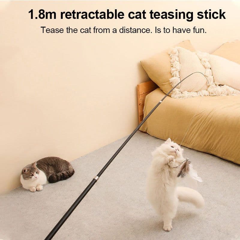 image-Pet Toy Cat-teasing Stick Extendable 180cm Rod Feather Replacement Head Adjustable Extendable Cat-teasing Stick Fishing Cat Toy