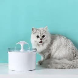 image-Pet Dog Cat Water Fountain Electric Automatic Water Feeder