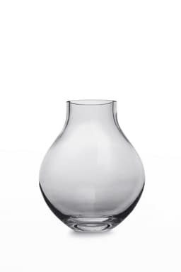 image-glass vase in bulb shape: ENVIE26TR