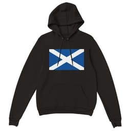 image-Sweat à capuche unisexe premium