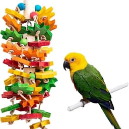 image-Wooden Color Nibbling Toy Medium And Large Parrot Bird