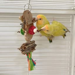 image-Parrot Bird Bite Toy String Relieving Stuffy Decorative Color Pendant