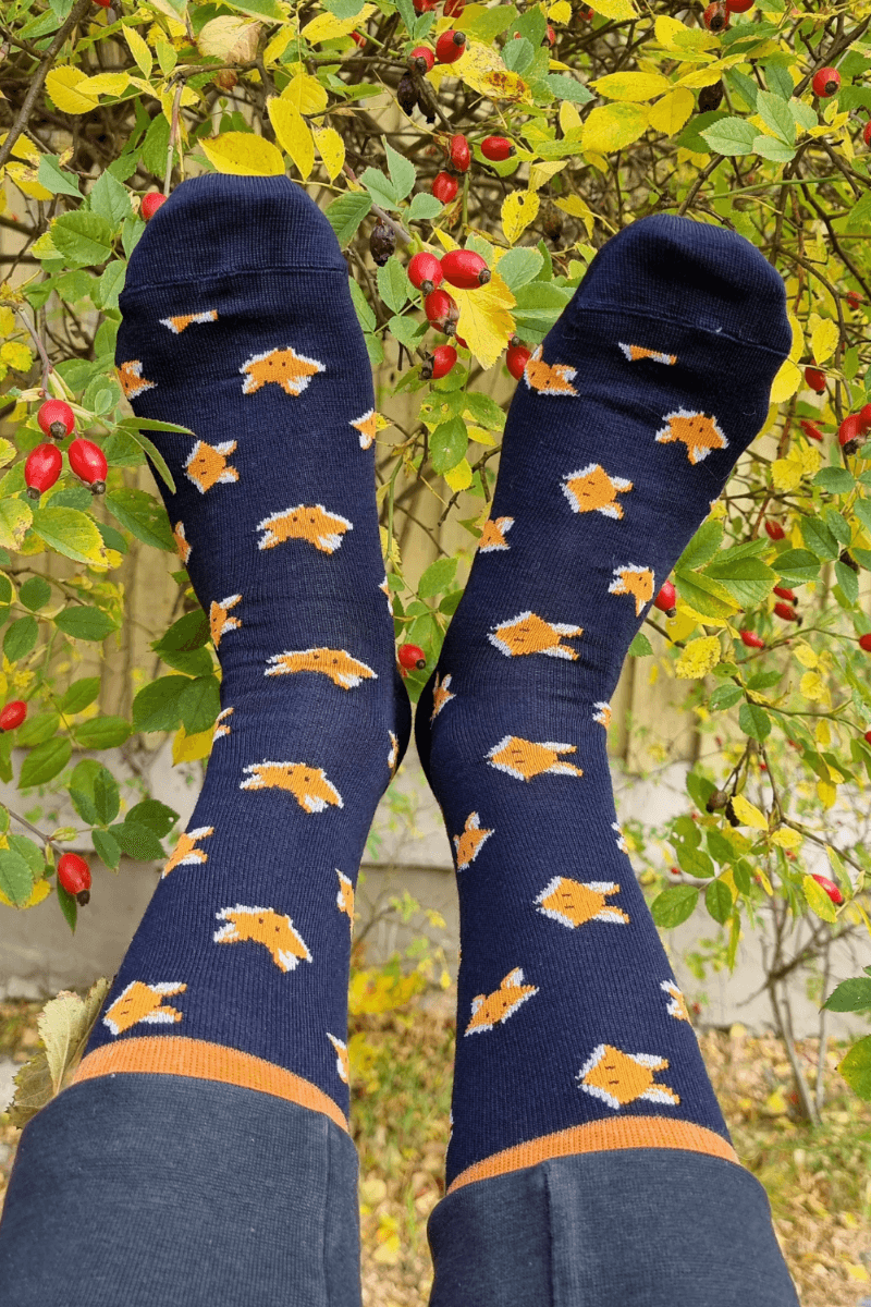 image-FOX LIFE merino wool socks with foxes