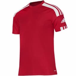 image-The adidas Squadra 21 JSY M GN5722 football shirt