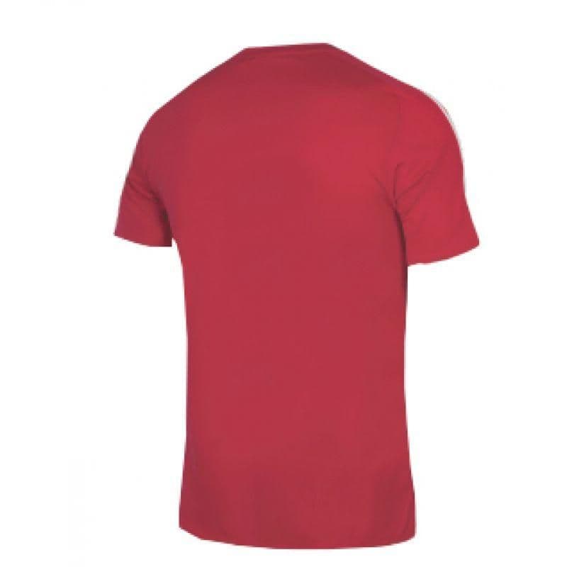 image-The adidas Squadra 21 JSY M GN5722 football shirt