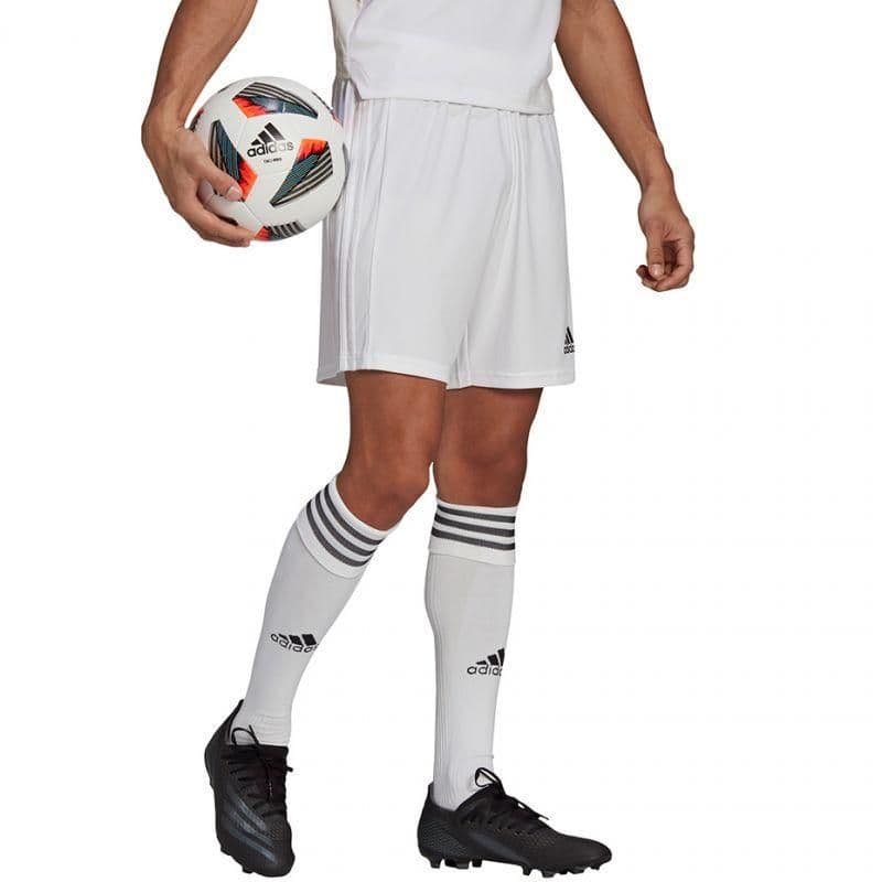 image-Adidas Squadra 21 Short M GN5774