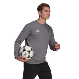 image-Sweatshirt adidas Entrada 22 Sweat Top M H57479