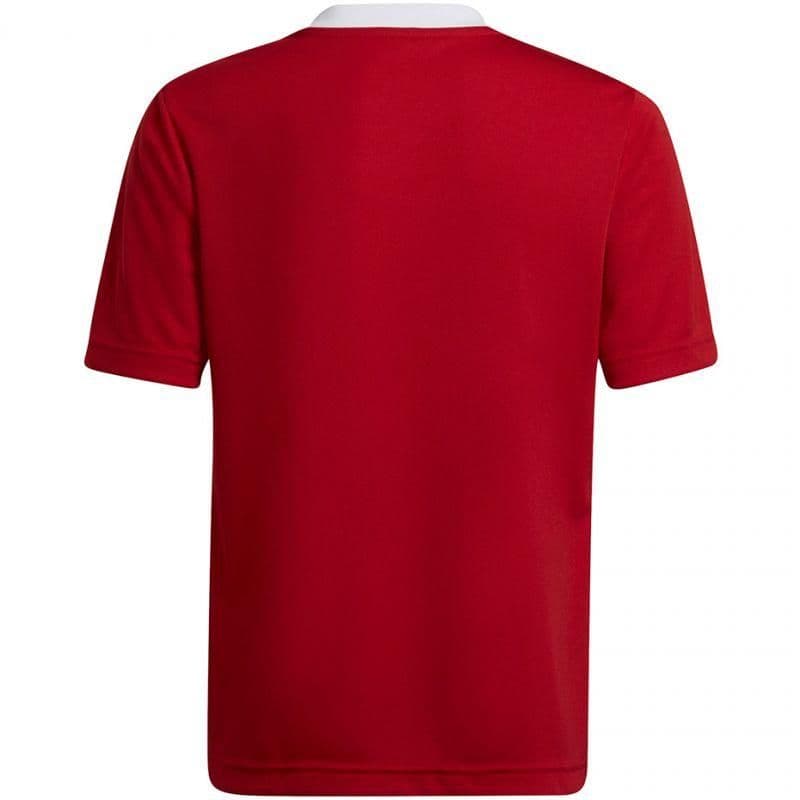 image-T-shirt adidas Entrada 22 Jsy Jr H57496