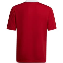 image-T-shirt adidas Entrada 22 Jsy Jr H57496