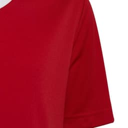 image-T-shirt adidas Entrada 22 Jsy Jr H57496