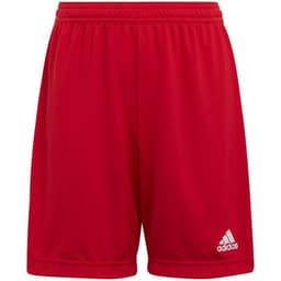 image-Adidas Entrada 22 Jr H57501 shorts