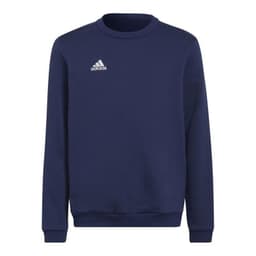 image-Sweatshirt adidas Entrada 22 Hoody Jr H57568