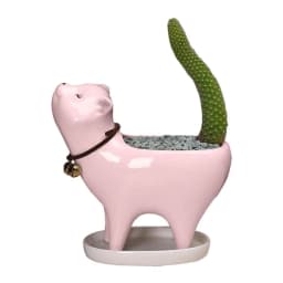 image-Ceramic Flower Pot Succulent Planter For Home Office Garden