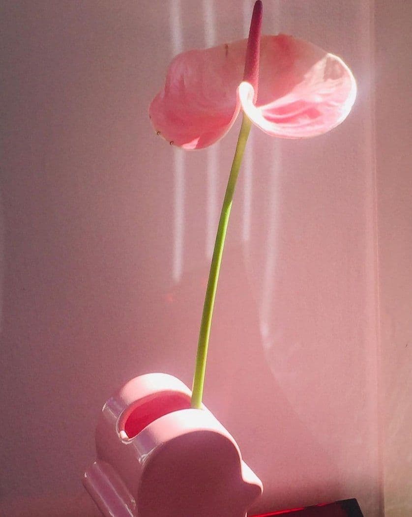 image-Handmade Memphis Ceramic Dick Vase | Decorative Shiva Flower Vase