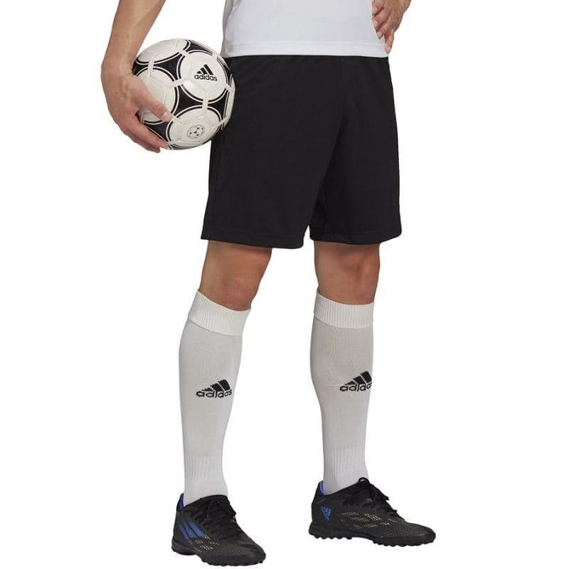 image-Adidas Entrada 22 Training Short M HB0575