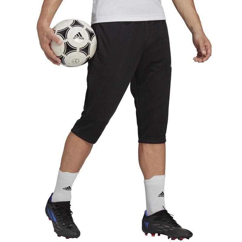 image-Pants adidas Entrada 22 3/4 Panty M HB0576