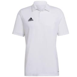 image-T-shirt adidas Entrada 22 Polo M HC5067