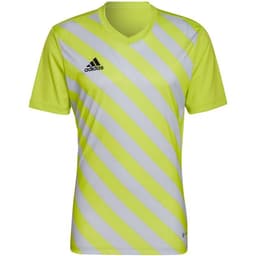 image-T-shirt adidas Entrada 22 Graphic Jersey M HF0118