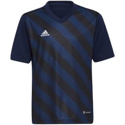 image-T-shirt adidas Entrada 22 Graphic Jersey Jr HF0122