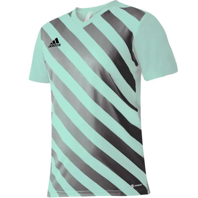 image-T-shirt adidas Entrada 22 Graphic Jersey Jr HF0127