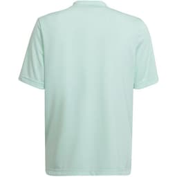 image-T-shirt adidas Entrada 22 Graphic Jersey Jr HF0127