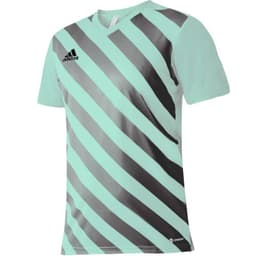 image-T-shirt adidas Entrada 22 Graphic Jersey Jr HF0127