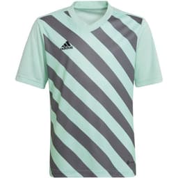 image-T-shirt adidas Entrada 22 Graphic Jersey Jr HF0127