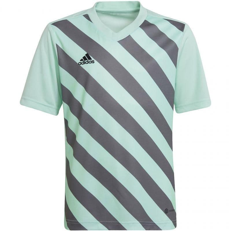 image-T-shirt adidas Entrada 22 Graphic Jersey Jr HF0127