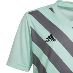 image-T-shirt adidas Entrada 22 Graphic Jersey Jr HF0127