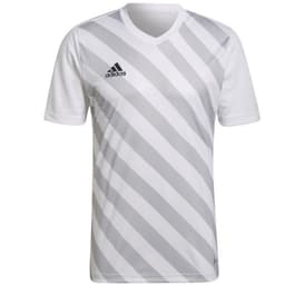 image-T-shirt adidas Entrada 22 Graphic Jersey M HF0129