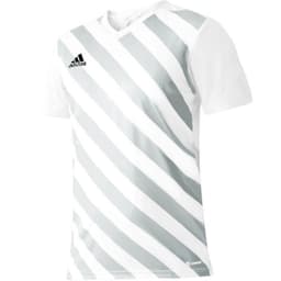 image-T-shirt adidas Entrada 22 Graphic Jersey M HF0129