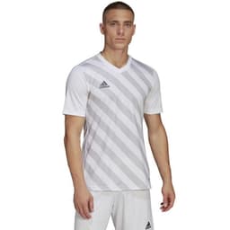 image-T-shirt adidas Entrada 22 Graphic Jersey M HF0129