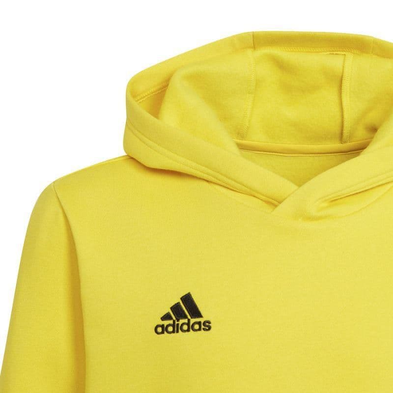 image-Sweatshirt adidas Entrada 22 Hoody Y Jr HI2142