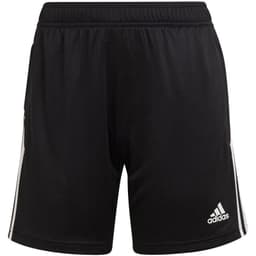 image-Adidas Condivo 22 Training W shorts HI6074