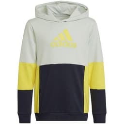 image-Adidas Colourblock Hoodie Jr HN8567 sweatshirt