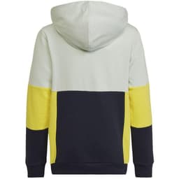 image-Adidas Colourblock Hoodie Jr HN8567 sweatshirt