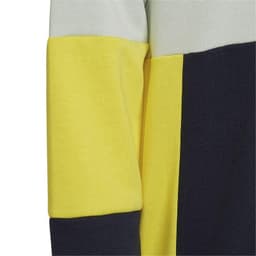 image-Adidas Colourblock Hoodie Jr HN8567 sweatshirt